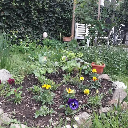 Apartmán Apartma Ilirija *